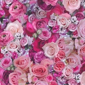 Meet your Posher, Lola